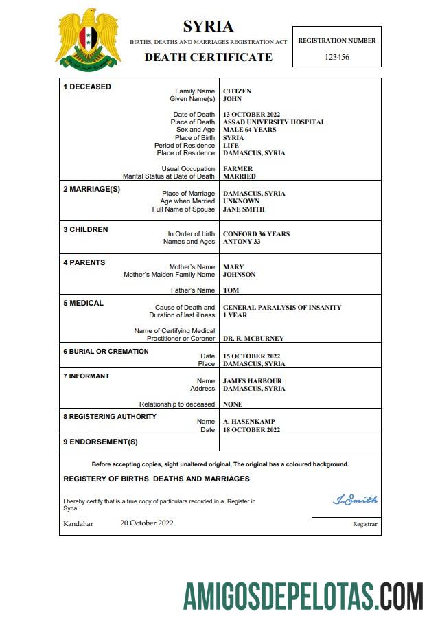 Realista modelo Word e PDF de certidão de óbito de registro vital da Síria